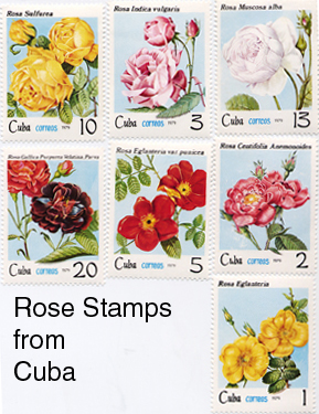 Name:  cubastamps.jpg
Views: 2229
Size:  151.5 KB