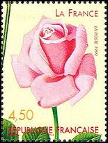 Name:  ros-france1999-rose3-small.jpg
Views: 1543
Size:  13.5 KB
