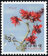 Name:  1962_erythrina_indica_s.jpg
Views: 1009
Size:  10.1 KB