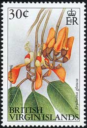 Name:  1991_erythrina_glauca_s.jpg
Views: 678
Size:  12.6 KB