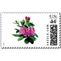 Name:  magenta_rhododendronswith_buds_postage-p172187142556046118anrd1_210.jpg
Views: 2163
Size:  12.5 KB