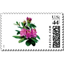 Name:  magenta_rhododendronswith_buds_postage-p172187142556046118anrd1_210.jpg
Views: 2160
Size:  12.5 KB