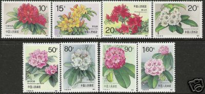 Name:  China - 1991 Azalea.jpg
Views: 1729
Size:  26.2 KB