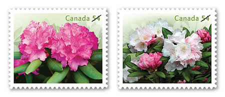 Name:  2009_rhodo_stamp.jpg
Views: 1508
Size:  40.5 KB