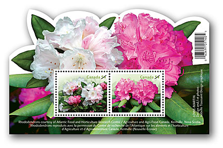 Name:  2008_peonies_souvsheet.jpg
Views: 1551
Size:  61.2 KB