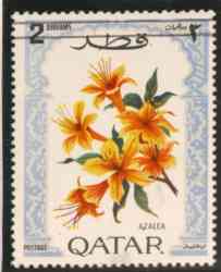 Name:  qatar-2.jpg
Views: 1426
Size:  6.3 KB