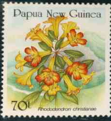 Name:  papua_christianiae.jpg
Views: 1329
Size:  7.2 KB