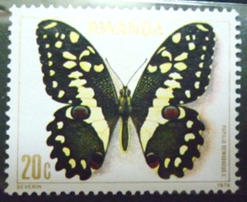 Name:  bướm 3.JPG
Views: 2139
Size:  102.6 KB