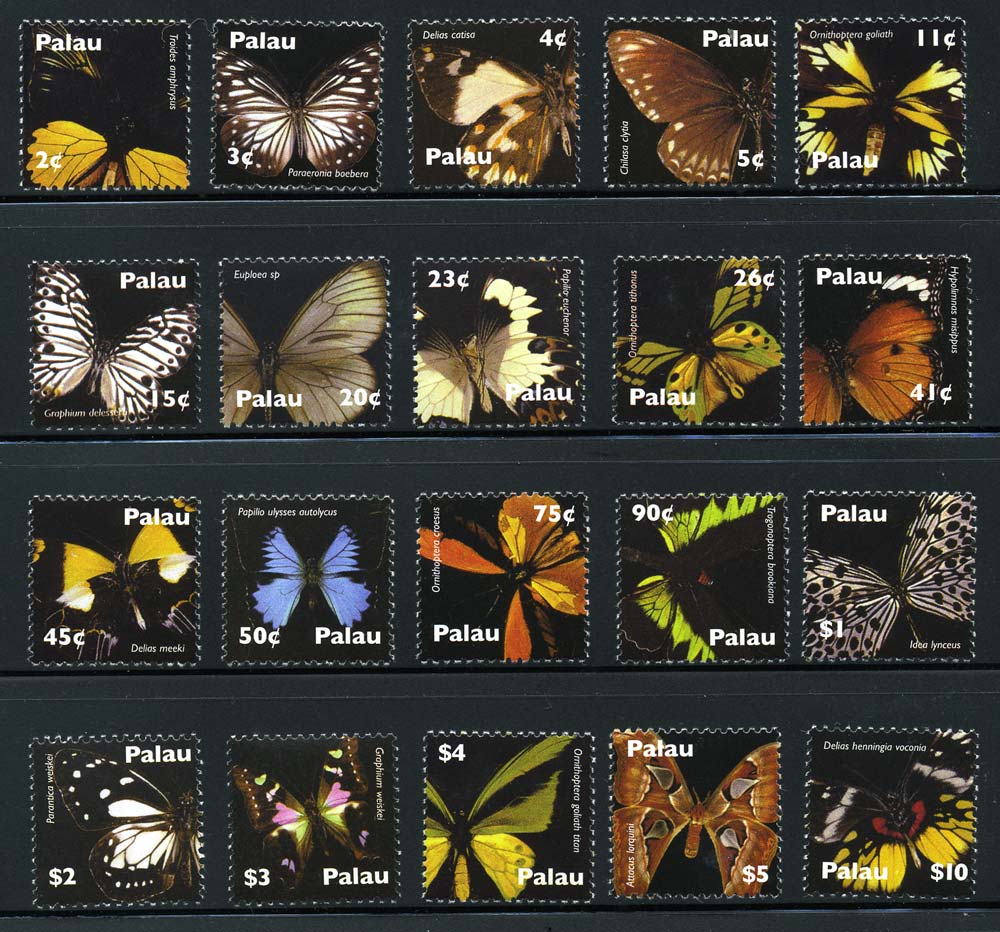Name:  bướm Palau.jpg
Views: 1545
Size:  181.5 KB