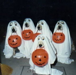Name:  dog+halloween.jpg
Views: 2335
Size:  19.6 KB