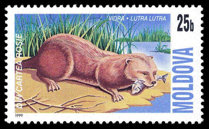 Name:  Stamp_of_Moldova_291.gif
Views: 1607
Size:  142.8 KB