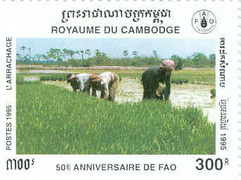 Name:  Cambodia5.jpg
Views: 11654
Size:  12.7 KB
