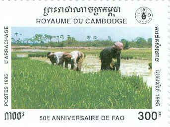 Name:  Cambodia5.jpg
Views: 11656
Size:  12.7 KB