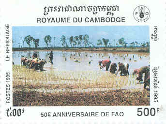 Name:  Cambodia6.jpg
Views: 9697
Size:  14.0 KB