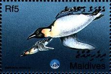 Name:  maldiv1998.jpg
Views: 888
Size:  10.2 KB