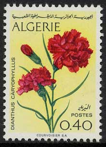 Name:  algerie.jpg
Views: 2313
Size:  14.7 KB