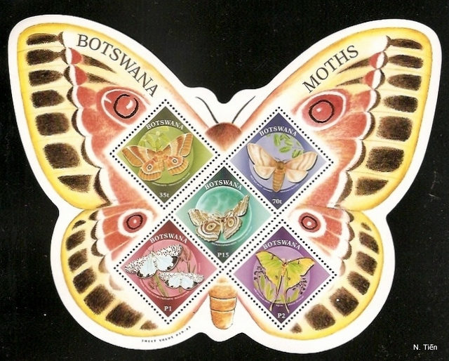 Name:  Botswana-Moths.jpg
Views: 307
Size:  221.6 KB