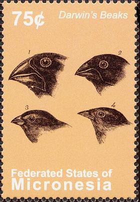 Name:  Darwin's beaks -!- mic200911l.jpg
Views: 436
Size:  25.9 KB