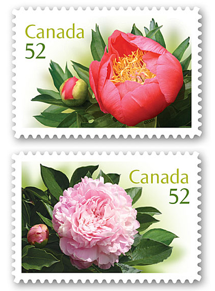Name:  2008_peonies_stamps.jpg
Views: 1532
Size:  206.8 KB
