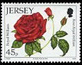 Name:  1_jersey201045p.jpg
Views: 304
Size:  32.5 KB