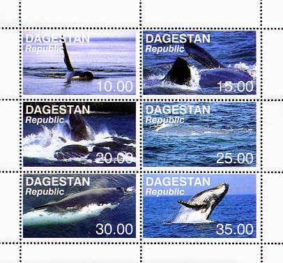 Name:  dag595-6whales.jpg
Views: 237
Size:  32.6 KB