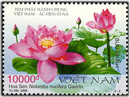 Name:  sen-viet.jpg
Views: 1301
Size:  48.9 KB