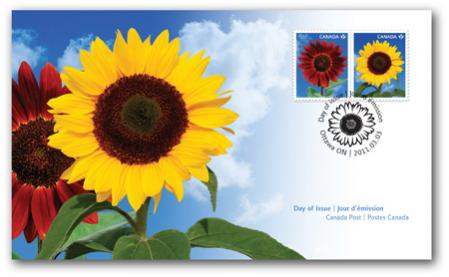 Name:  2011_sunflowers_ofdc.jpg
Views: 465
Size:  20.9 KB