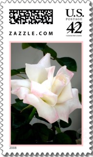 Name:  tl-White+rose.jpg
Views: 584
Size:  22.8 KB