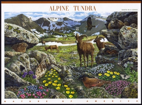 Name:  09-Alpine Tundra.JPEG
Views: 634
Size:  237.9 KB