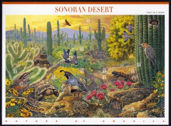 Name:  01-Sonoran Desert.JPEG
Views: 765
Size:  209.7 KB