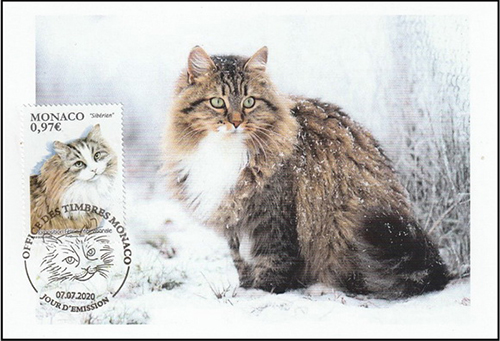 Name:  Siberia cat.jpg
Views: 419
Size:  149.0 KB