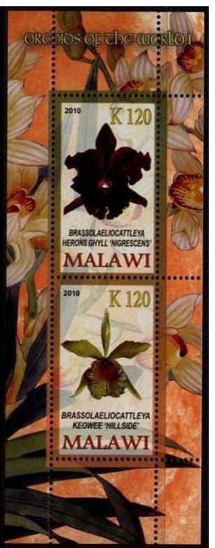 Name:  MALAWI 2 2010 -1.2.jpg
Views: 244
Size:  47.4 KB