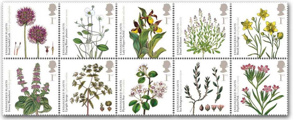 Name:  090519_endangered_plants.jpg
Views: 186
Size:  85.7 KB