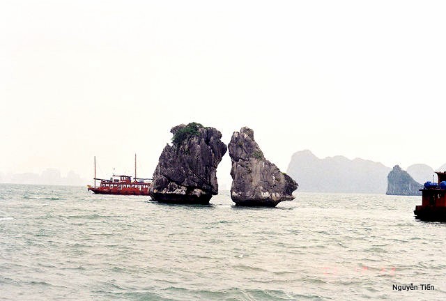 Name:  012-Vinh Ha Long-15.jpg
Views: 471
Size:  47.8 KB