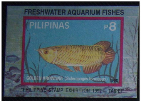 Name:  102-1992 Philippines, Arowana Overprinted-SS MNH-74k.jpg
Views: 433
Size:  60.8 KB