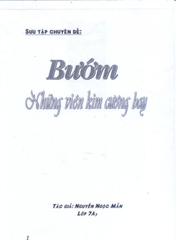 Name:  bô buom.jpg
Views: 655
Size:  25.7 KB