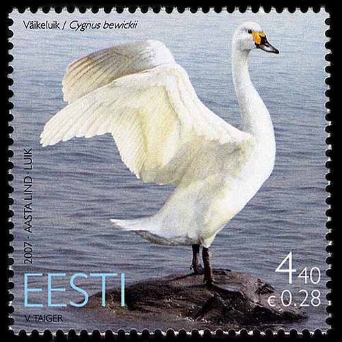 Name:  Est_2007Swan.jpg
Views: 5524
Size:  39.5 KB