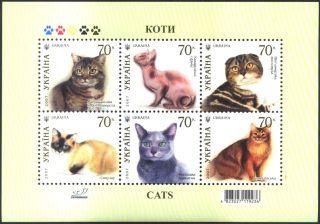 Name:  3-Cat 2007.jpg
Views: 285
Size:  17.8 KB