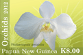 Name:  orchids12_k8.gif
Views: 239
Size:  8.1 KB