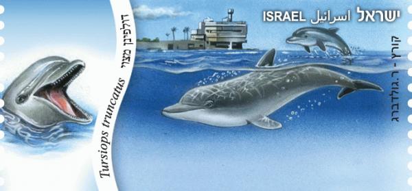 Name:  israel 2012 - ATM b.jpg
Views: 261
Size:  27.0 KB