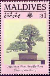 Name:  Maldives1458.jpg
Views: 460
Size:  7.8 KB