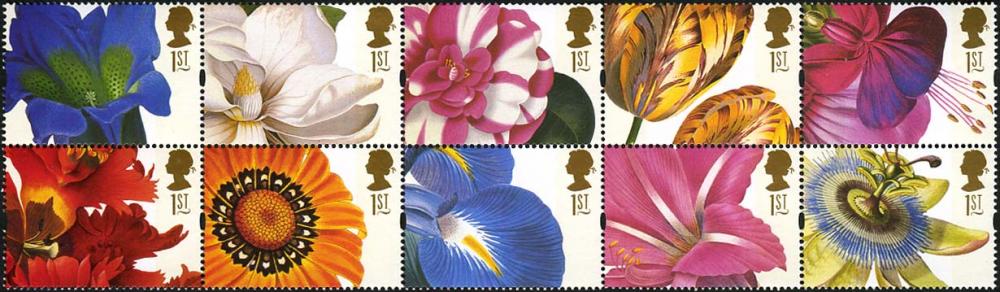 Name:  GB Flower Paintings.jpg
Views: 2081
Size:  73.1 KB