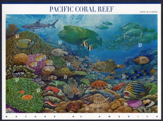 Name:  06-pacific Coral Reef.JPEG
Views: 694
Size:  218.5 KB