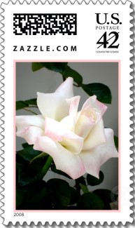 Name:  tl-White+rose.jpg
Views: 612
Size:  22.8 KB