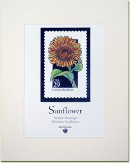 Name:  Sunflower-Poster.jpg
Views: 1383
Size:  7.7 KB