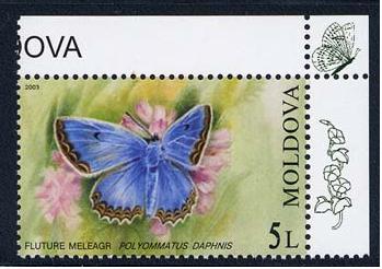 Name:  moldova_03_bfly-moth.jpg
Views: 450
Size:  21.3 KB