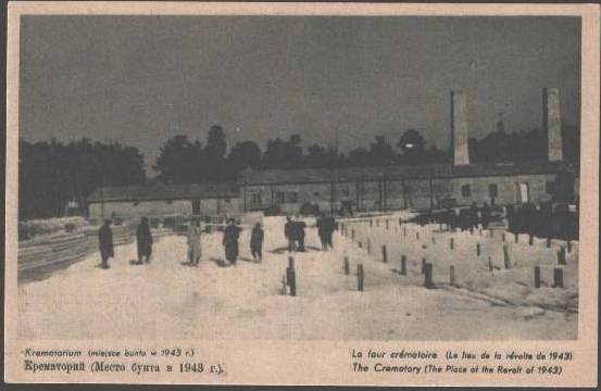 Name:  085348 Holocaust JEWISH POLAND Auschwitz Crematory Vintage PC.jpg
Views: 1191
Size:  25.4 KB