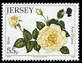 Name:  1_jersey201055p.jpg
Views: 294
Size:  33.1 KB