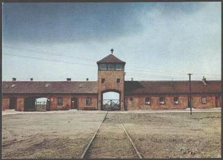 Name:  092874 Holocaust JEW POLAND Auschwitz Concentration Camp PC #2.jpg
Views: 1289
Size:  19.1 KB