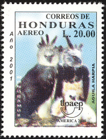 Name:  honduras-4.jpg
Views: 234
Size:  127.1 KB